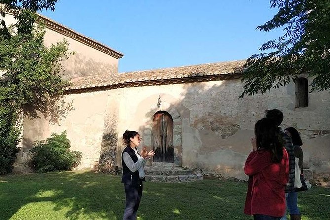 Private Wine & Cava Tasting Tour In Penedes with hotel pick up - Price and value in Penedès, not Barcelona pricing