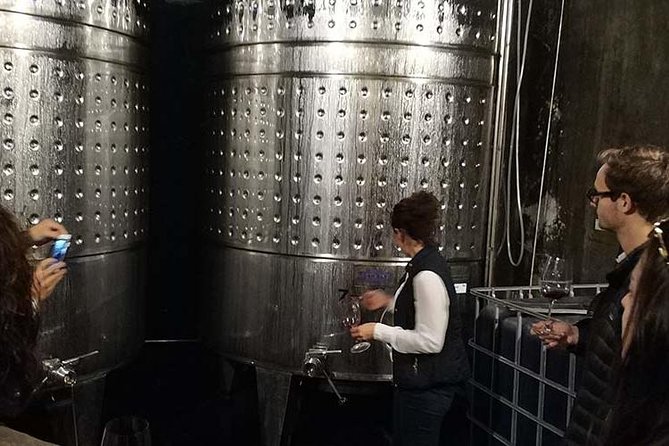 Private Wine & Cava Tasting Tour In Penedes with hotel pick up - Sant Pau d’Ordal and the Capella underground cava caves