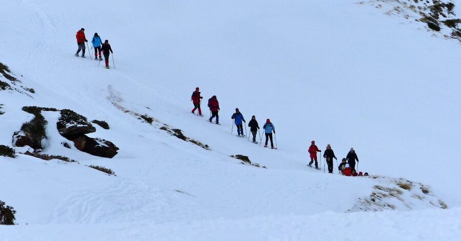 Pyrenees: A-day Hike with a Choice of 3 Levels - The core of the day: hiking around the Cadí area and major viewpoints