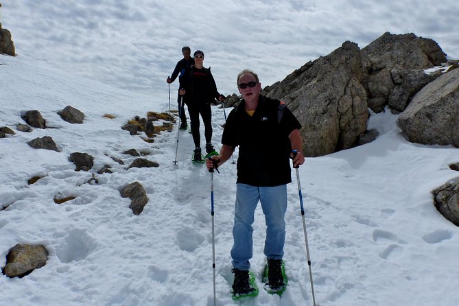 Pyrenees Hiking from Barcelona - Transfers, private group time, and how the tour feels day-to-day
