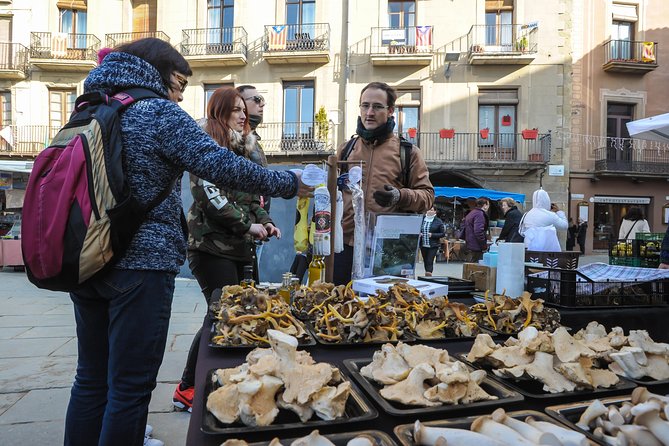 Pyrenees & Medieval Towns Small Group Tour from Barcelona - Queralbs and the Rack Railway to Nuria Valley: The Part You Will Remember