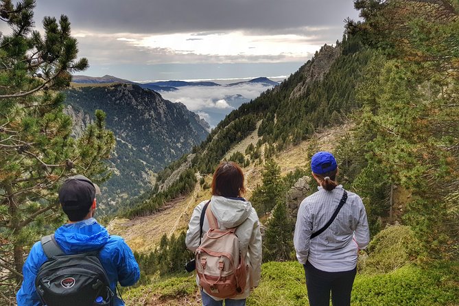 Pyrenees Mountain Train and Nature Walk - Queralbs to Vall de Núria: the hike that earns its name