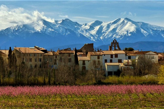 Pyrenees Private Tour from Barcelona with Easy Hike & Cogwheel Train - The private van, and why it changes how you hike