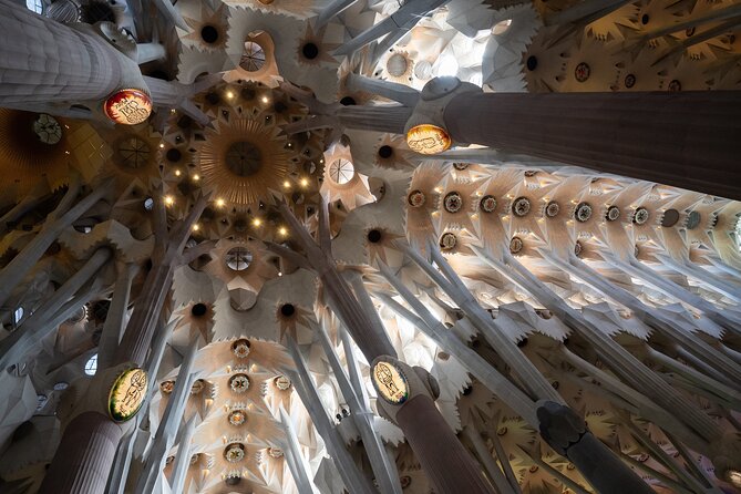 Sagrada Familia and Guell Park Private Tour - Who This Private Tour Is Best For
