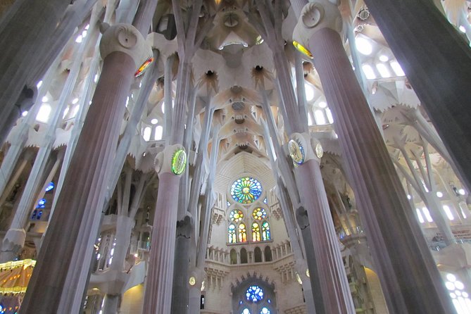 Sagrada Familia Express Private Guided Tour - Why a private Sagrada Familia tour feels worth it at 2:30 pm
