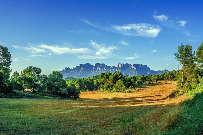 Sagrada Familia & Montserrat Small Group Tour with Hotel pick-up - Eixample drive-through: modernism views without the museum grind