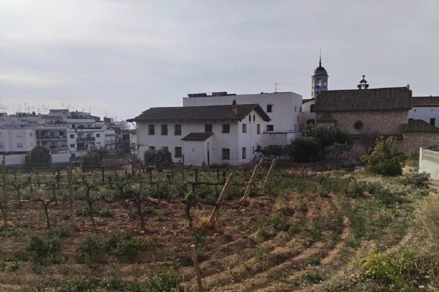 Sitges: Sailboat trip + walking tour and wine cellar tour - Celler de l’Hospital: an urban winery with a real historical pulse
