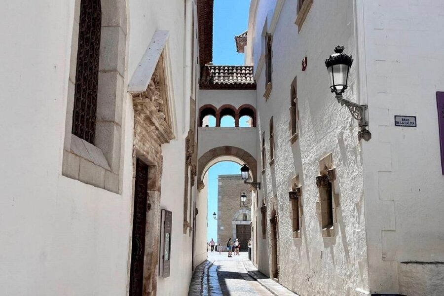 Sitges: Sailboat trip + walking tour and wine cellar tour - The optional Mediterranean cooking workshop (fish and seafood)