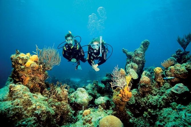 Small Group Diving Baptism in Tossa de Mar - Key highlights you will feel from the first minutes