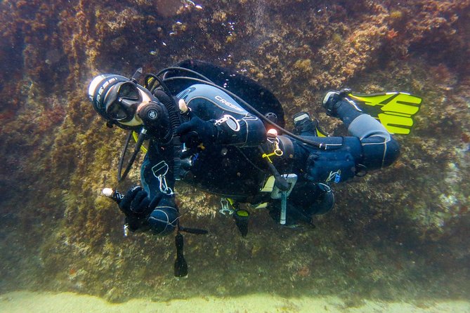 Small Group Diving Baptism in Tossa de Mar - Why the small group matters more than you think