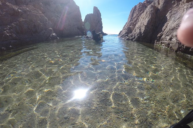 Small Group Diving Baptism in Tossa de Mar - The 3-hour flow, from check-in to shower and change