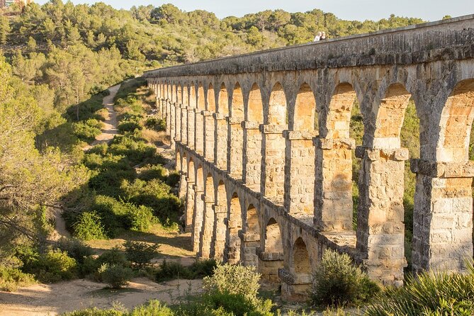 Tarragona Culinary Experience: Olive Oil & Iberian Ham Delight - Molí dOli Mas Montseny: the 1940 mill tour plus professional tasting