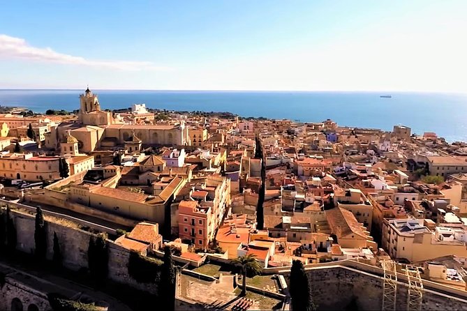 Tarragona Private Tour with Hotel Pick Up - The museum area and the Tarraco Model: connect the dots