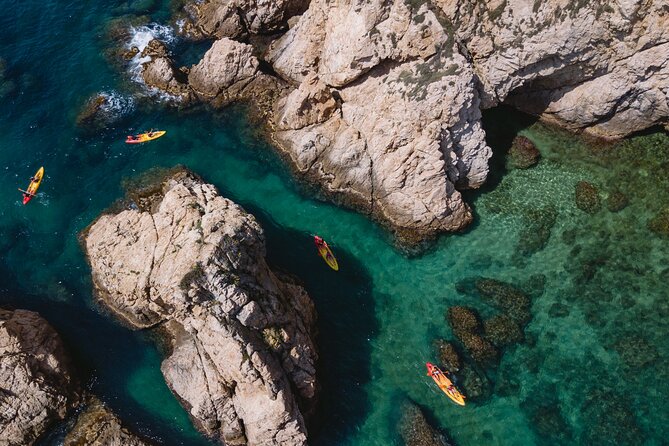 Tossa de Mar: Kayak & Snorkel Tour with Paella from Barcelona - Kayaking and snorkeling through caves, coves, and wildlife