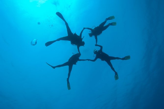 Tossa de Mar Scuba Diving PADI - In-water coaching in small groups: the names that kept showing up