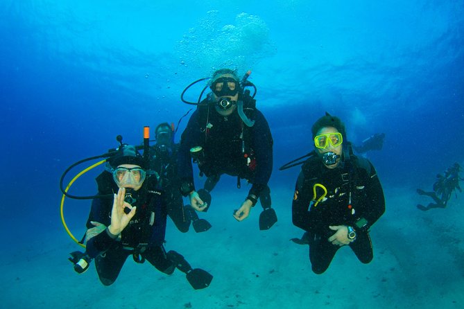 Tossa de Mar Scuba Diving PADI - What you might see underwater around Tossa de Mar