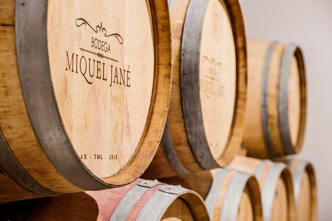 Viticulture and Wine-Tasting 3-Hour Trip from Barcelona - Alt Penedès in 3 Hours, What You Really Get