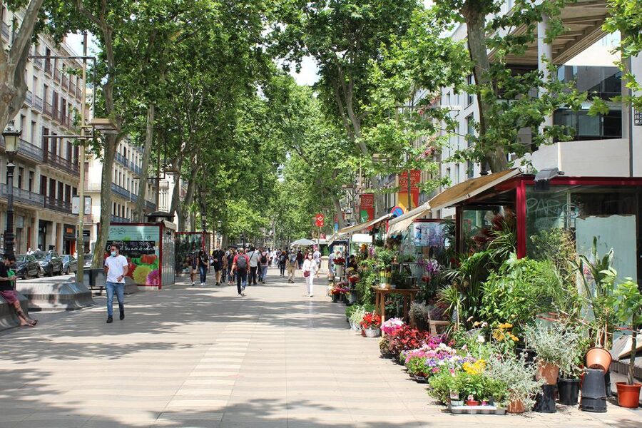 Walking Tour Gothic Quarter and Ramblas+Boat Trip - Quick takes before you go