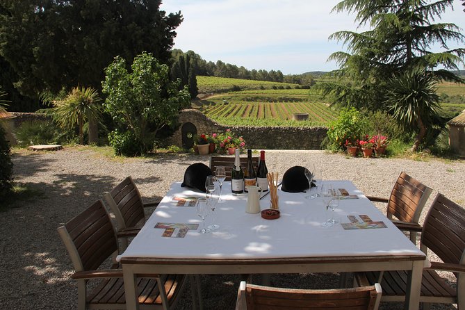 Wine & Cava Penedes Tour: Wineries, Wine Tasting and Tapas - Key things that make this Penedés wine and cava tour work