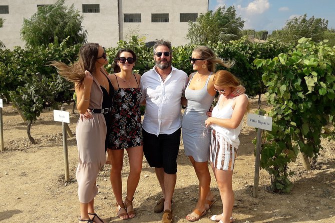 Wine & Cava Penedes Tour: Wineries, Wine Tasting and Tapas - Who this tour fits best