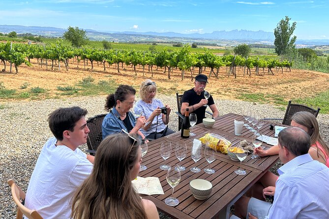 Wine Tasting in Three Boutique Wineries Tour - Max 8 people - Key things to know before you go