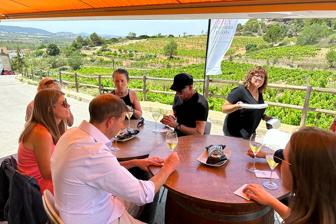 Wine Tasting in Three Boutique Wineries Tour - Max 8 people - Stop 3: Pares Balta, organic and biodynamic wine plus olive oil tasting
