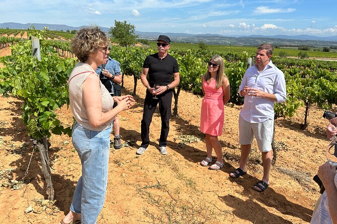 Wine Tasting in Three Boutique Wineries Tour - Max 8 people - Price and value: what $240.66 buys you in real terms