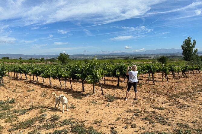 Wine Tasting in Three Boutique Wineries Tour - Max 8 people - Stop 1: Mas Comtal and Montserrat in the background
