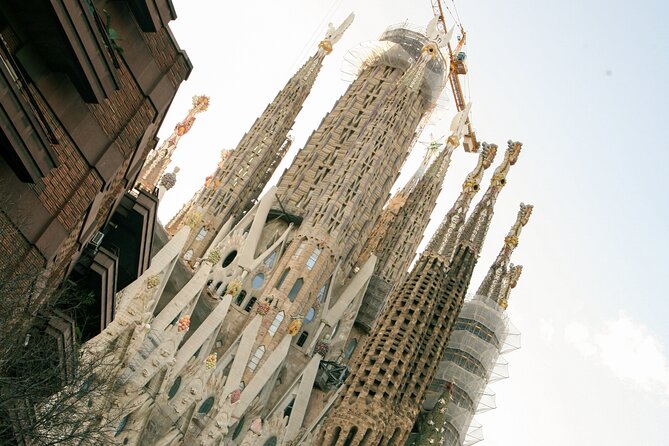 Wine tasting with a view of the Sagrada Familia - Small group, English service, and the pace of a 2.5 hour night