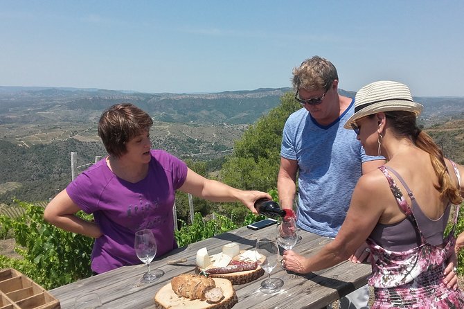 WINE TOUR PRIORAT: Visit 2 Top Wineries, Wine Tasting & Gourmet Lunch - Key Things I’d Plan Around