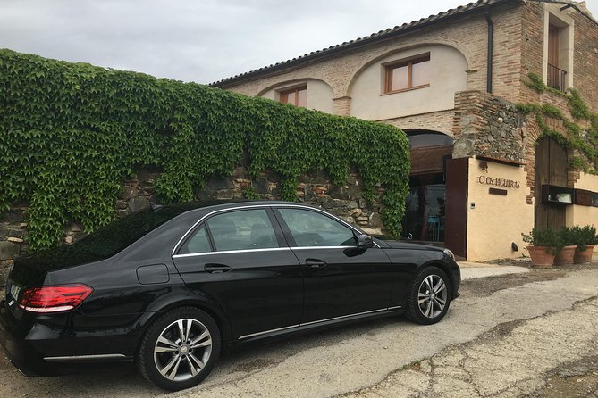 WINE TOUR PRIORAT: Visit 2 Top Wineries, Wine Tasting & Gourmet Lunch - What This Day Trip Really Feels Like (So You Can Decide)