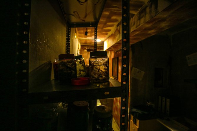 Xcape Room Bcn: The diary of Miko - Tips to have a better shot at escaping (even when things get scary)