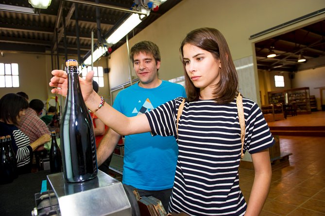 Your Cava, Your Story – Wine workshop experience at Artcava - A Barcelona Day Trip That Feels Like a Real Region